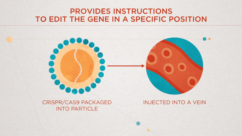 How Intellia’s In Vivo CRISPR/Cas9 Technology Works