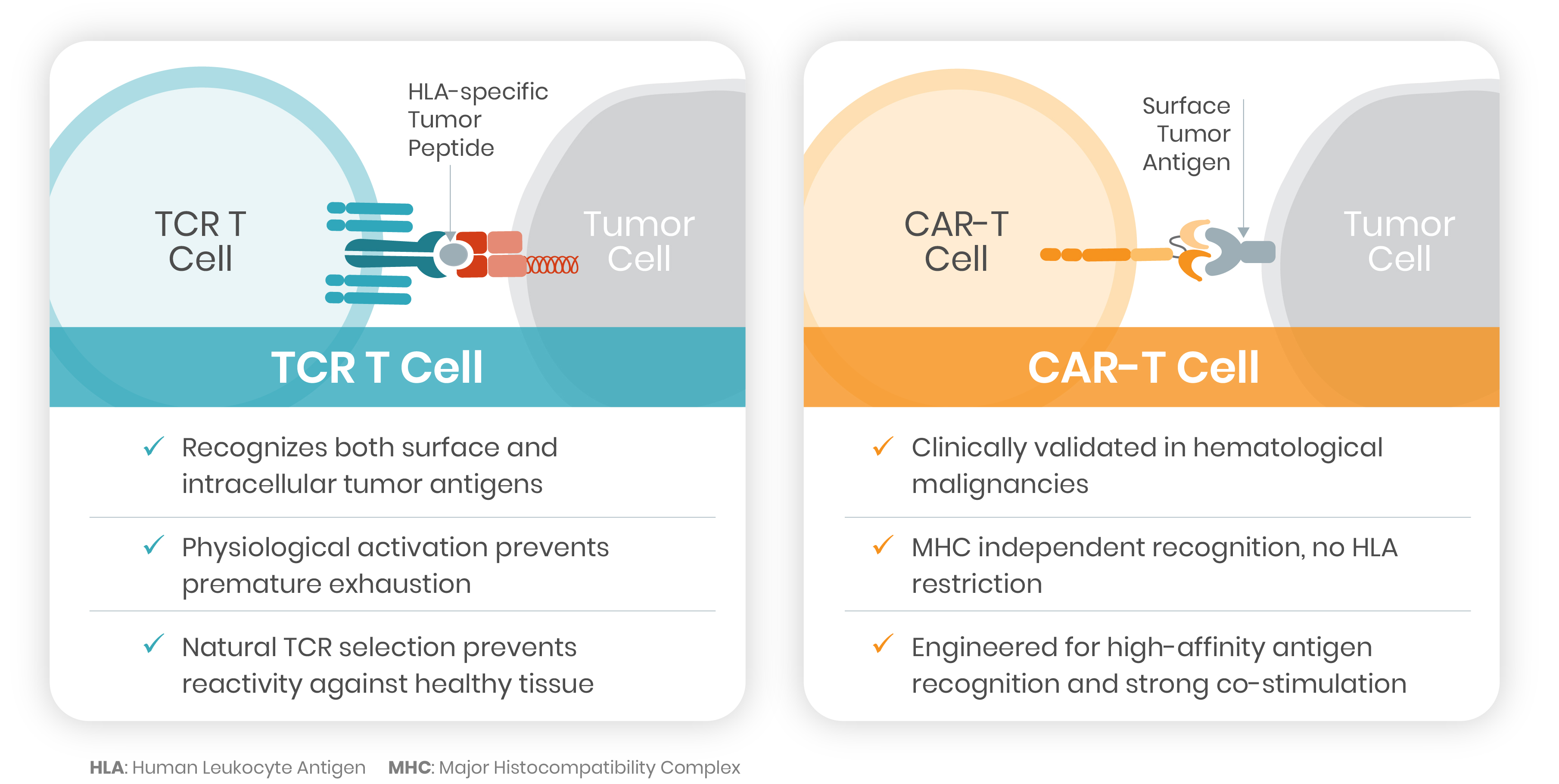 Ex Vivo Therapies - Intellia Therapeutics