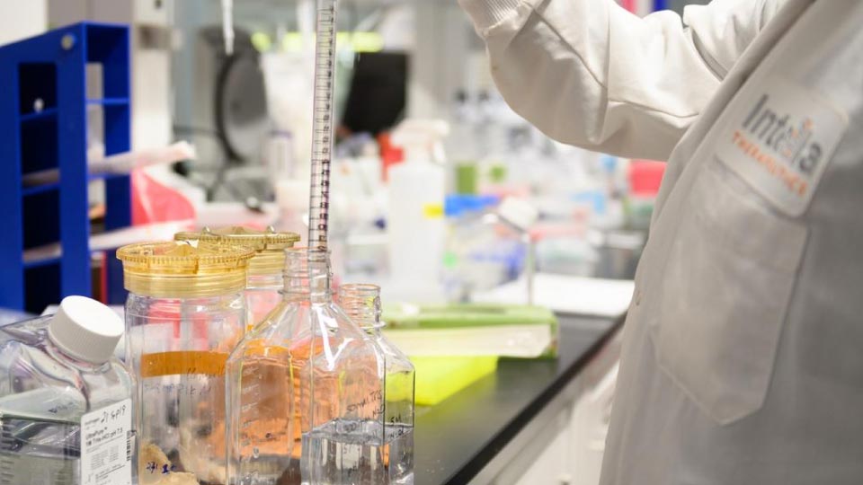Intellia Therapeutics Founded