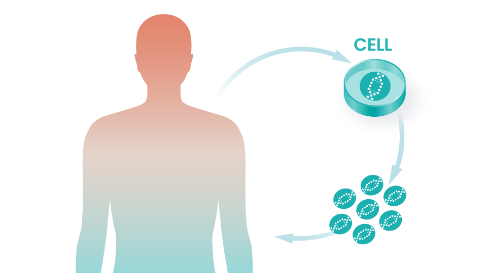 Novartis Collaboration Established