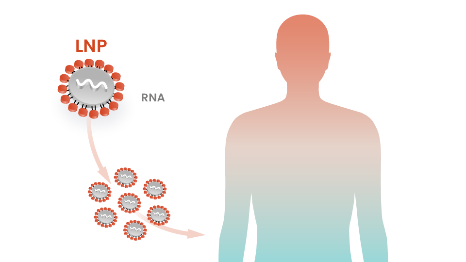 Regeneron Collaboration Began