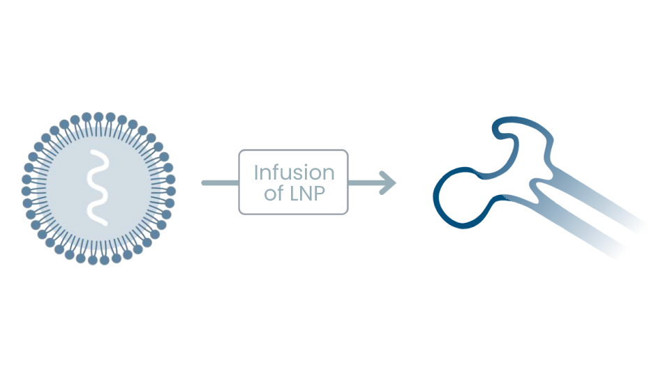 Preclinical Proof of Concept for CRISPR-based In Vivo Editing of Bone Marrow