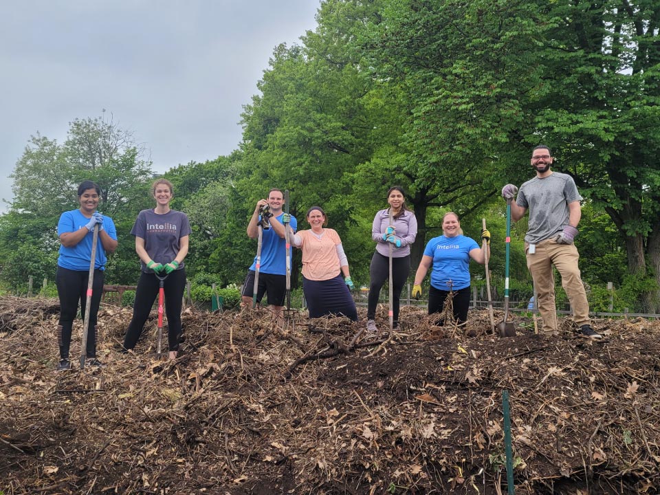 Volunteering at Fenway Victory Gardens