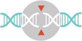 Develop CRISPR/Cas9 Potential