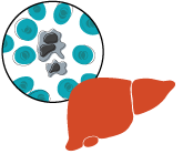 Pursue new therapies and delivery technologies